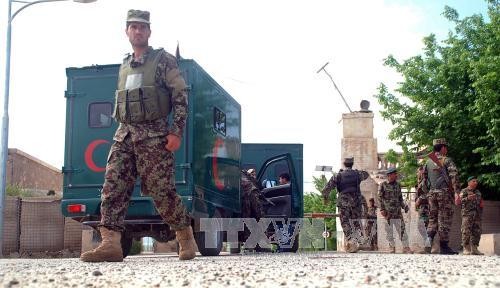 Afganistán decreta día de luto nacional por ataque talibán contra base militar - ảnh 1