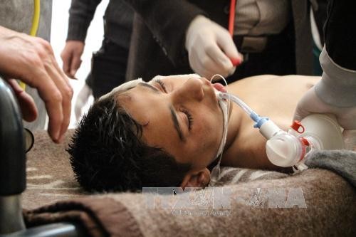 Siria propone una tregua para investigar incidente químico - ảnh 1
