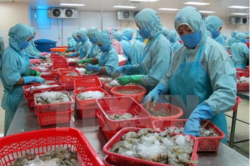 Productos acuíferos vietnamitas pretenden aumentar la confianza de consumidores europeos - ảnh 1