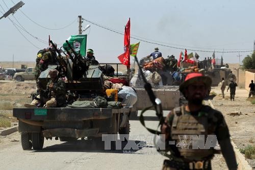 Fuerzas iraquíes ganan terreno en combate a militantes en Mosul - ảnh 1