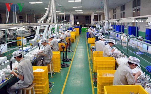 Desarrollo del sector privado, una necesidad urgente de la economía vietnamita - ảnh 1