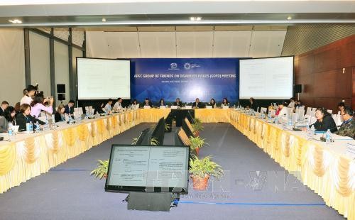 Celebran primeras reuniones de SOM 2 del Foro APEC  - ảnh 1