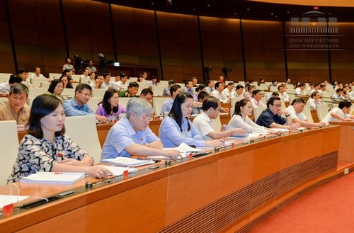 Parlamento vietnamita aprueba varias leyes reformadas - ảnh 1