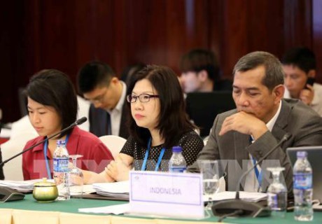 Prosiguen en Ciudad Ho Chi Minh las reuniones de SOM3 de APEC  - ảnh 1