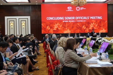 Inauguran la Semana de la Cumbre del APEC 2017 en la ciudad centrovietnamita de Da Nang - ảnh 2
