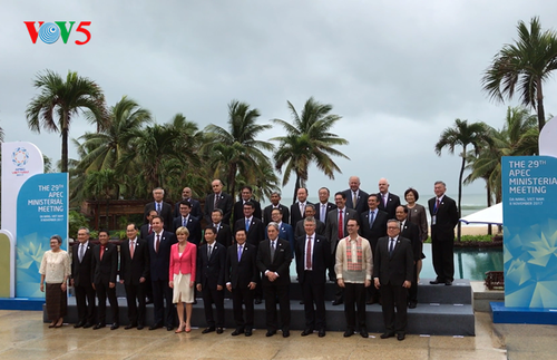 Delegados internacionales participantes en la Cumbre de APEC aprecian el papel de Vietnam - ảnh 1