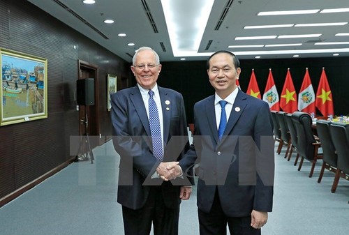 Dirigentes de Vietnam y Perú resaltan las potencialidades para afianzar la cooperación binacional - ảnh 1