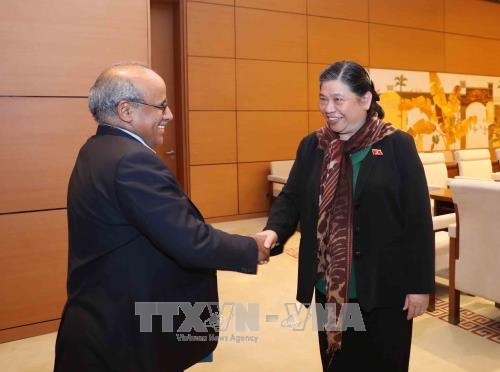 Alto funcionario de Unicef recibido por la vicepresidenta del Parlamento vietnamita - ảnh 1