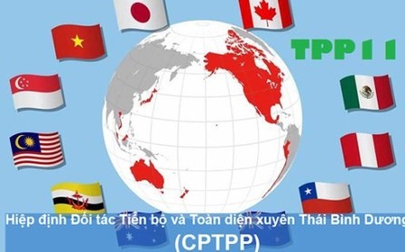 Vietnam por aprovechar las oportunidades del Tratado CPTPP - ảnh 1