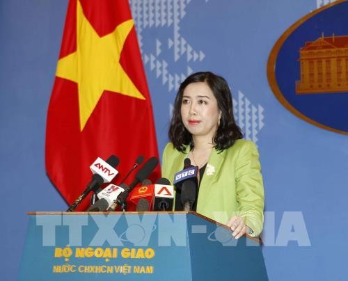 Vietnam realiza siete trabajos importantes para impulsar la garantía de los derechos humanos - ảnh 1