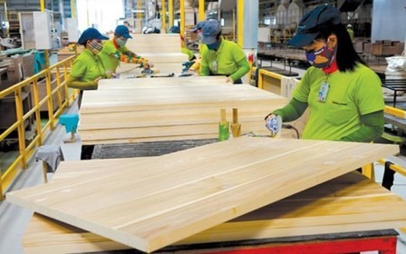 Halagueñas perspectivas para las exportaciones vietnamitas de madera y sus derivados  - ảnh 1