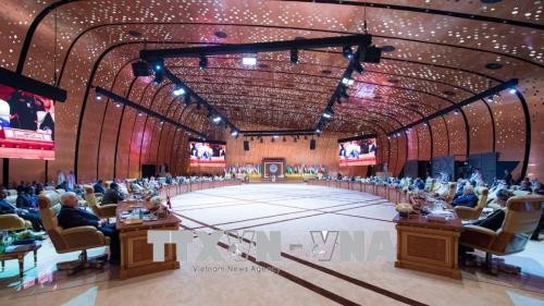 Liga Árabe reafirma apoyo a la paz en la región - ảnh 1