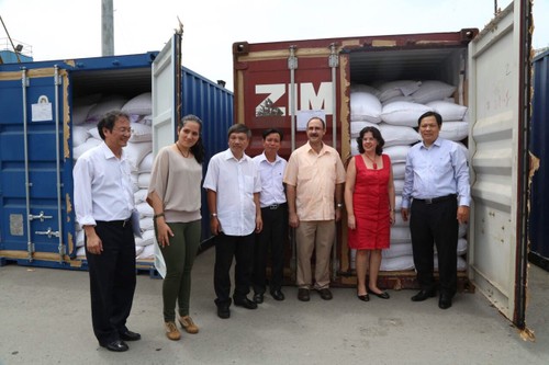 Vietnam realiza entrega oficial de una donación de 5.000 toneladas de arroz a Cuba - ảnh 1