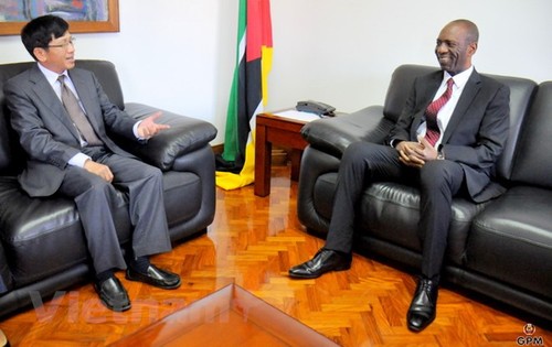 Mozambique aboga por recibir más inversiones de Vietnam - ảnh 1