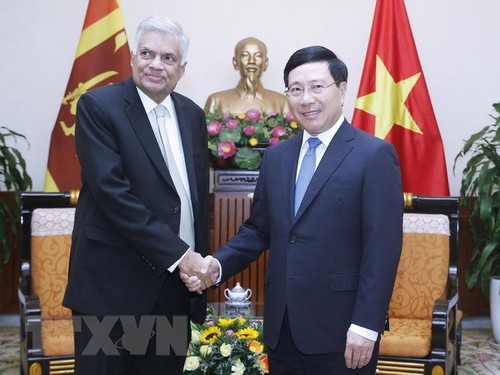 Vietnam y Sri Lanka buscan fortalecer nexos de cooperación - ảnh 1