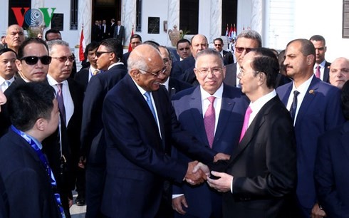 Presidente vietnamita se reúne con dirigentes egipcios - ảnh 1