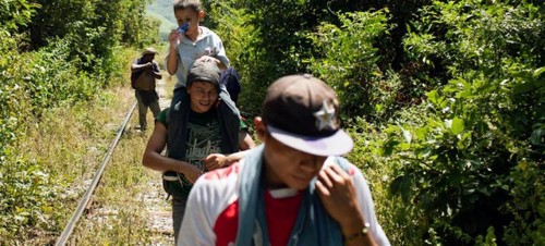 ONU pide respeto a la ley internacional en el trato a los migrantes centroamericanos - ảnh 1
