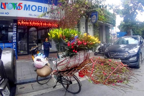 Hanói, días previos al festejo del Tet - ảnh 7