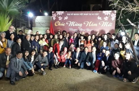 Vietnamitas en ultramar festejan el Tet 2019 - ảnh 1
