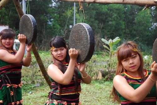 Homenaje a la entrada aldeana, una tradición ancestral de la etnia M’nong - ảnh 4