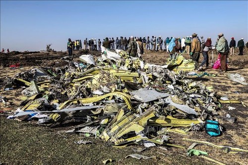 Estados Unidos emite declaración acerca del avión Boeing 737 Max después del accidente aéreo en Etiopía - ảnh 1