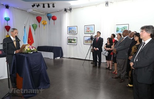 Vietnam y Argentina se comprometen a fortalecer la cooperación bilateral - ảnh 1