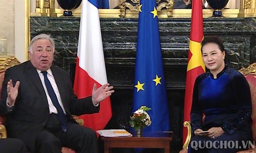 Líder parlamentaria de Vietnam se reúne con presidente del Senado francés - ảnh 1