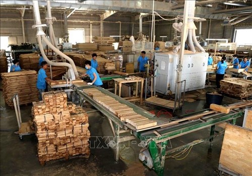 Vietnam considera medidas antidumping a importaciones madereras de Tailandia y Malasia - ảnh 1