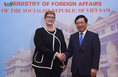 Refuerzan cooperación multilateral Vietnam-Australia - ảnh 1