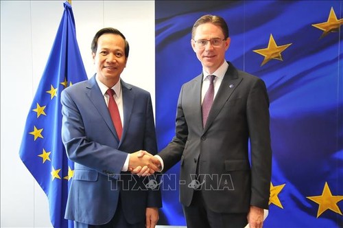 Ministro de Trabajo, Inválidos de Guerra y Asuntos Sociales de Vietnam realiza visita de trabajo a Bélgica - ảnh 1