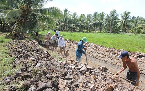 Agricultores en el Delta del Mekong cambian su forma de cultivo para adaptarse al cambio climático - ảnh 1