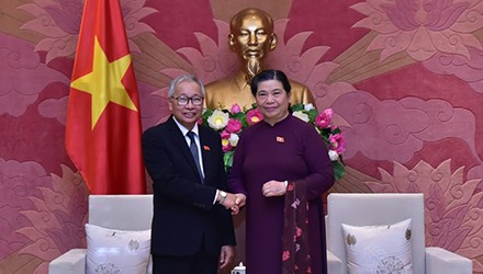 Ponderan avances de las relaciones entre Vietnam y Myanmar - ảnh 1