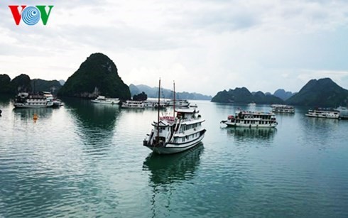 Quang Ninh proyecta convertirse en centro turístico internacional - ảnh 1