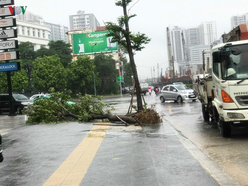 Localidades vietnamitas se esfuerzan para aliviar consecuencias del huracán Wipha - ảnh 1