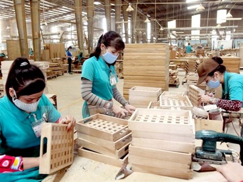 Aceleran exportación de productos forestales de Vietnam - ảnh 1