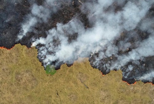 Incendios en la Amazonía: ya no es un asunto nacional - ảnh 1