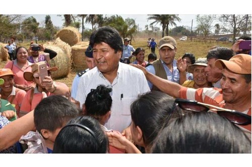 Presidente Evo Morales mantiene ventaja en intenciones de voto en Bolivia - ảnh 1