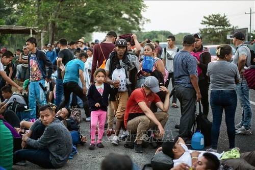 Centenares de inmigrantes acampan en la frontera de México y Estados Unidos - ảnh 1