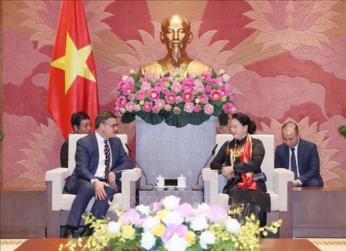 Vietnam ratifica interés de fortalecer la cooperación con Alemania - ảnh 1