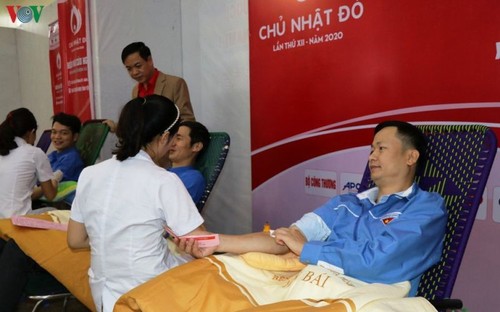 Donación de sangre se efectúa durante días feriados del Tet en Hanói - ảnh 1