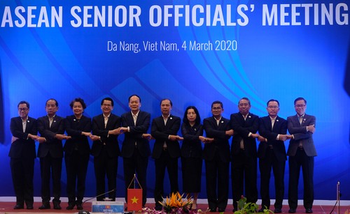 Conferencia especial de altos funcionarios de la Asean en Da Nang - ảnh 1