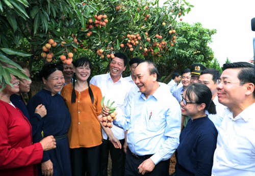 Premier vietnamita asiste a acto de promoción de exportación de lichis en Bac Giang - ảnh 1