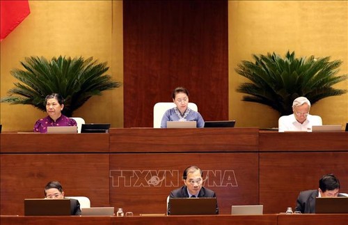 Parlamento vietnamita somete a debate situación socioeconómica y presupuestaria - ảnh 1