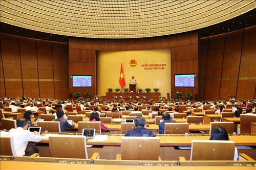 Docena de leyes de Vietnam entran en vigor desde 1 de julio - ảnh 1