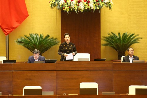 Parlamento vietnamita comienza las reuniones presenciales - ảnh 1