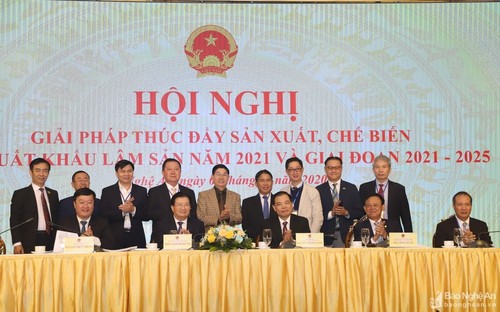 Vietnam planea ingresar hasta 20 mil millones de dólares en 2025 de la exportación de productos silvícolas - ảnh 1