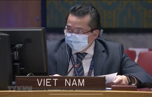 Vietnam preocupado por la situación de la violencia en República Democrática del Congo - ảnh 1