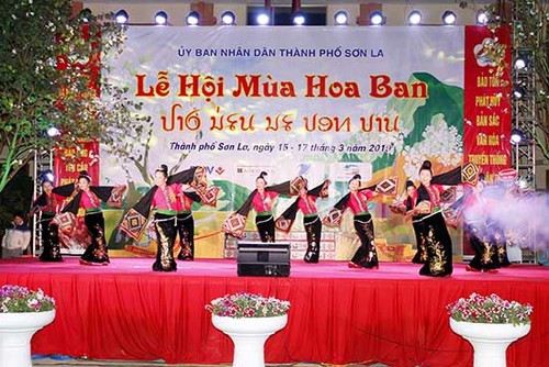 La provincia de Son La conserva la cultura tradicional de la etnia Thai - ảnh 2