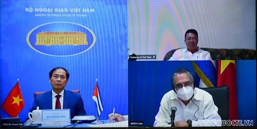 Vietnam y Cuba celebran la VI Consulta Política a nivel de vicecancilleres - ảnh 1