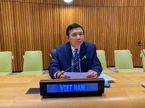 Vietnam aporta al debate del Consejo de Seguridad sobre la situación humanitaria en Etiopía - ảnh 1